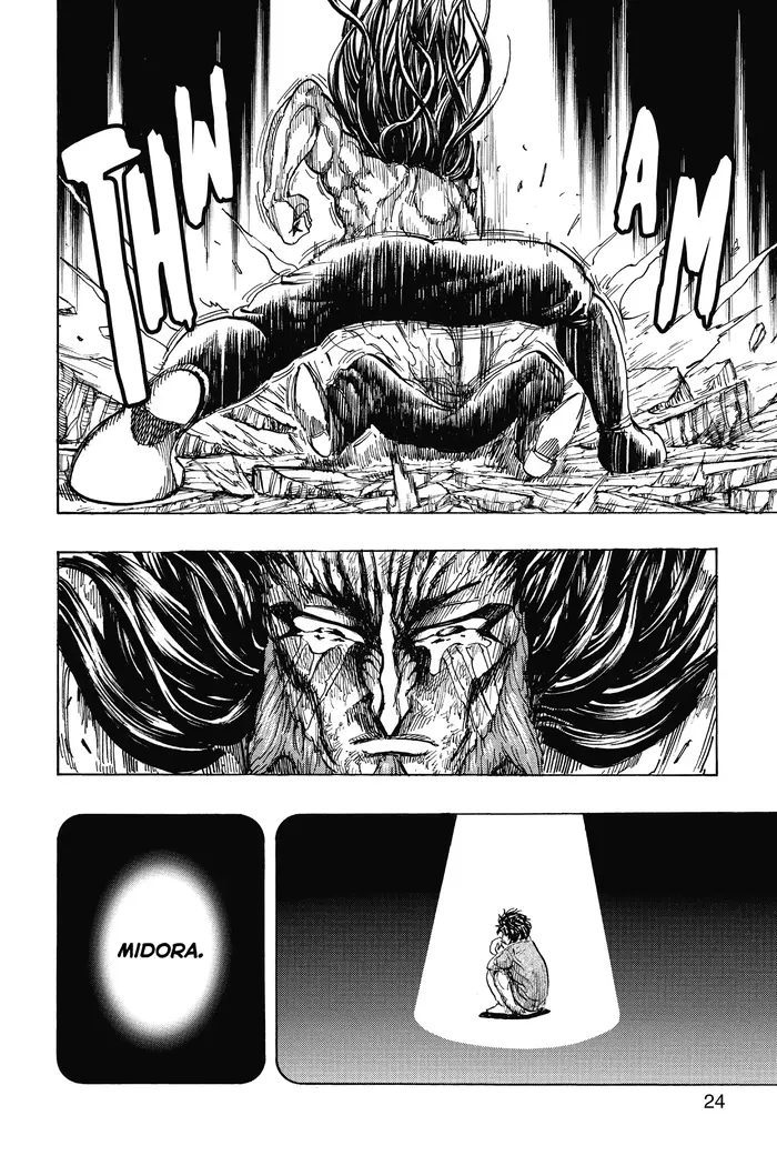 Toriko Chapter 254 image 22_optimized